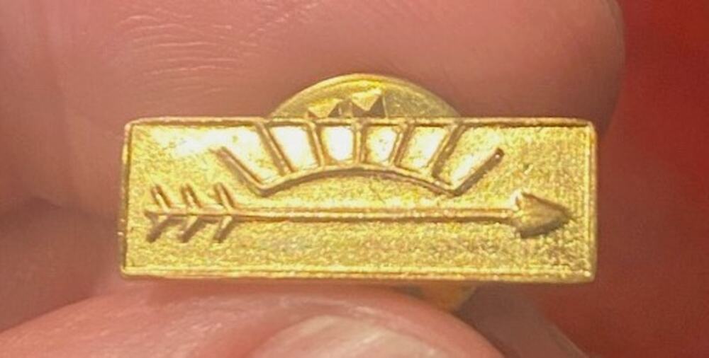 VTG Boy Scouts Arrow of Light Hat Lapel Pin